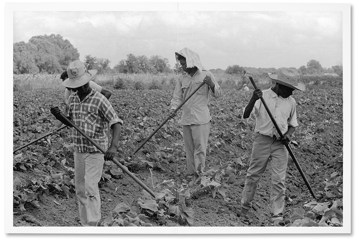 A Civil Rights Journey - Image 3