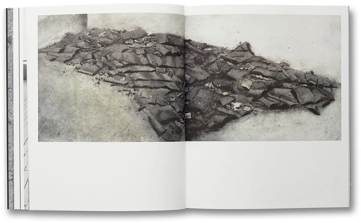 a Handful of Dust (First edition) - Image 22