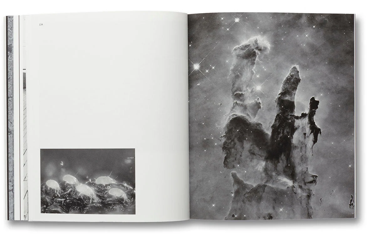 a Handful of Dust (First edition) - Image 23