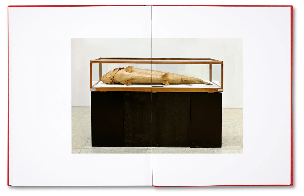 After - Image 19