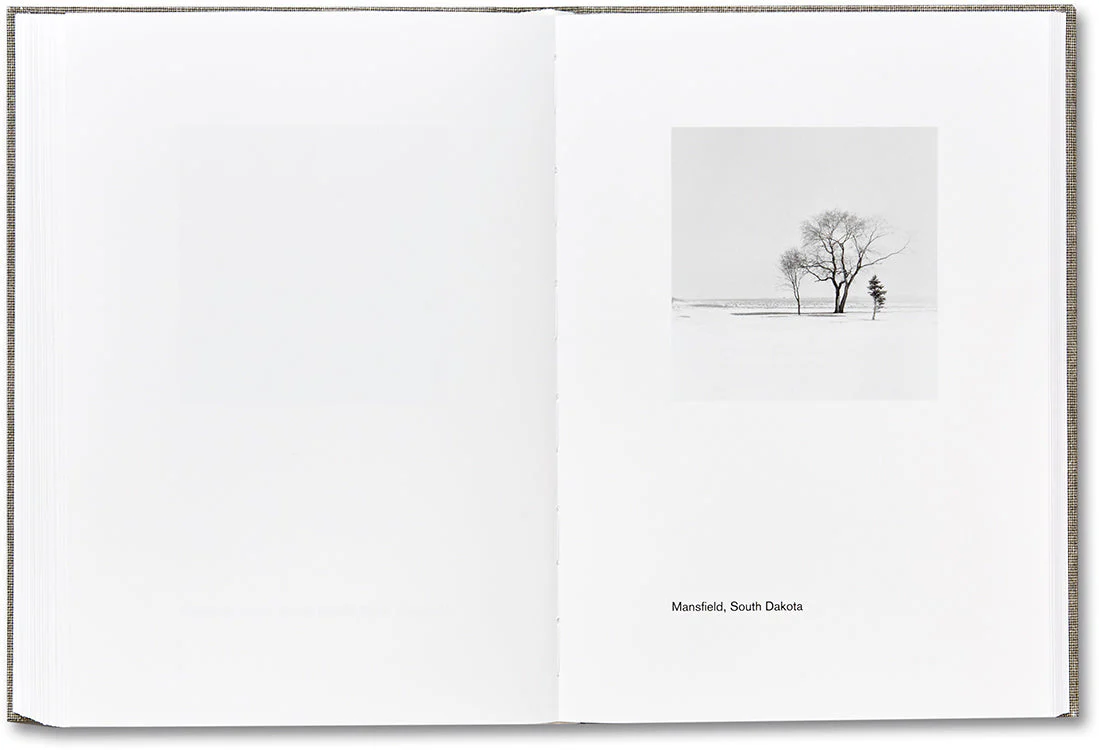 American Winter - Image 29