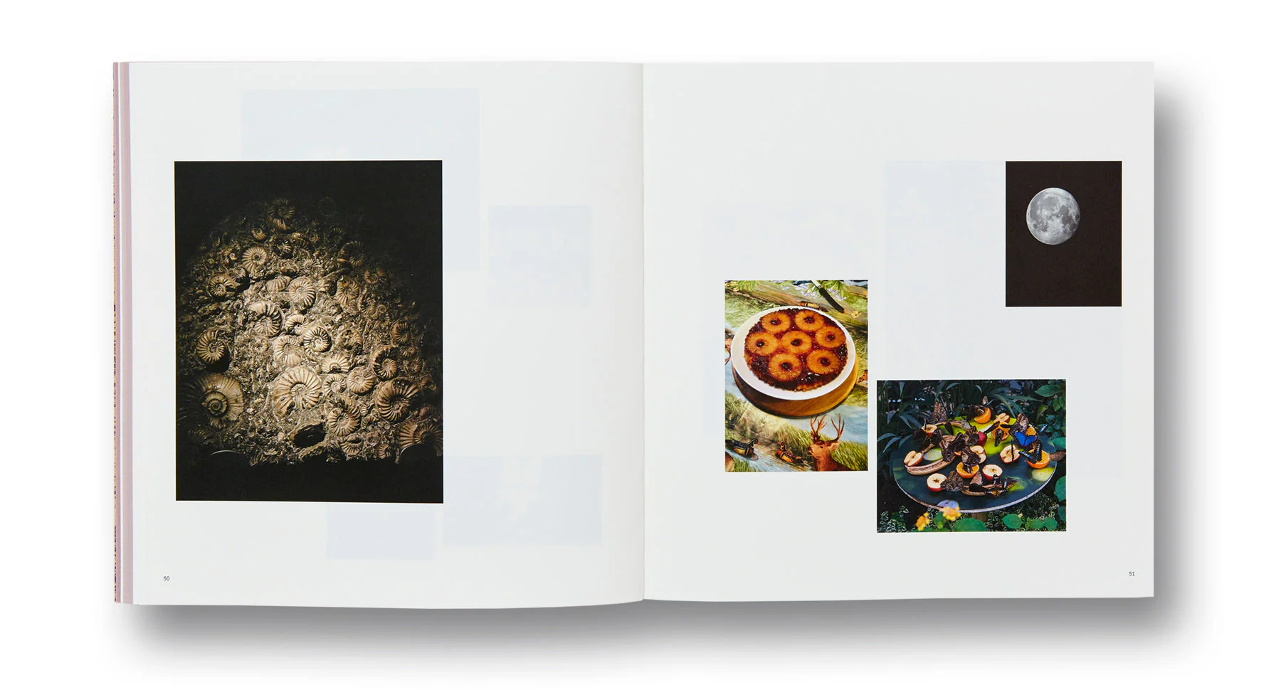 And Time Folds - Image 9