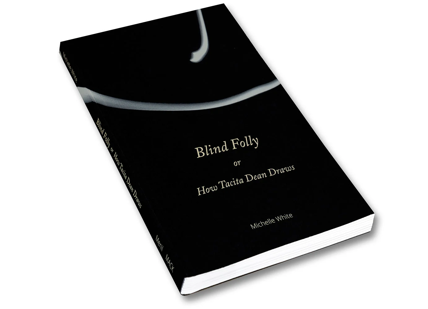 Blind Folly or How Tacita Dean Draws - Image 26