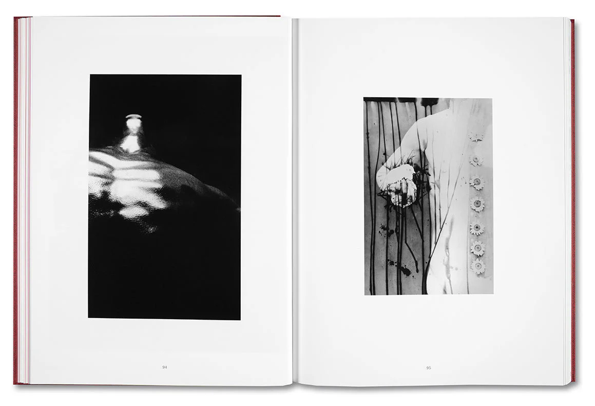 Eikoh Hosoe (Japanese edition) - Image 20
