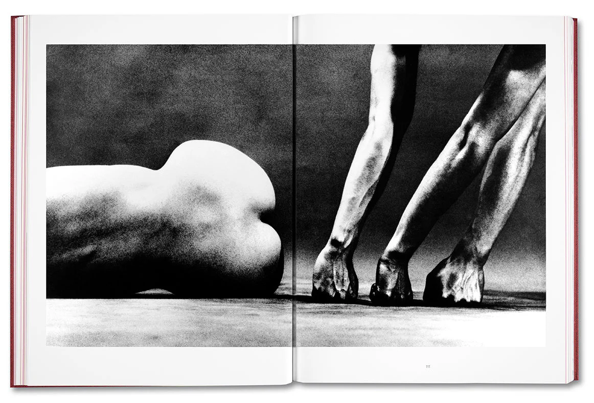 Eikoh Hosoe (Japanese edition) - Image 21