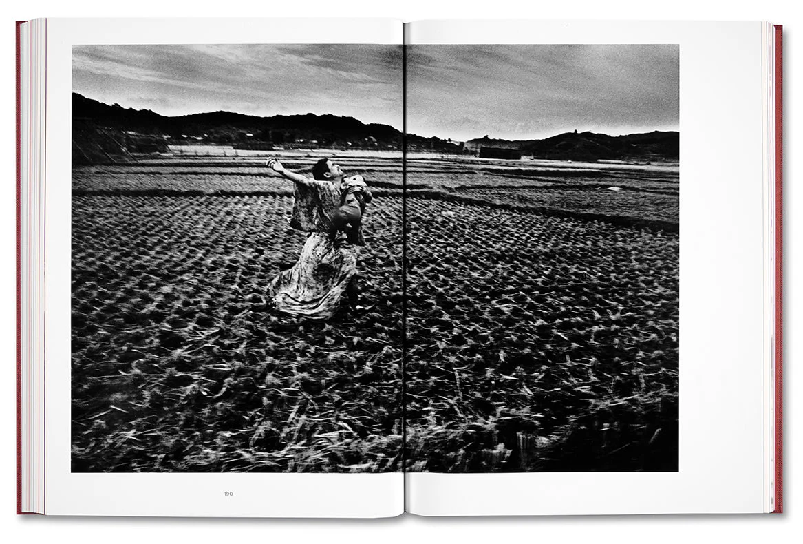 Eikoh Hosoe (Japanese edition) - Image 26