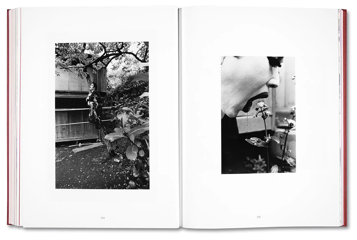 Eikoh Hosoe (Japanese edition) - Image 29