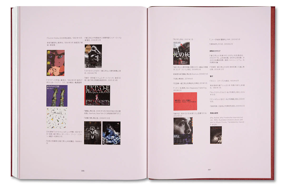 Eikoh Hosoe (Japanese edition) - Image 38