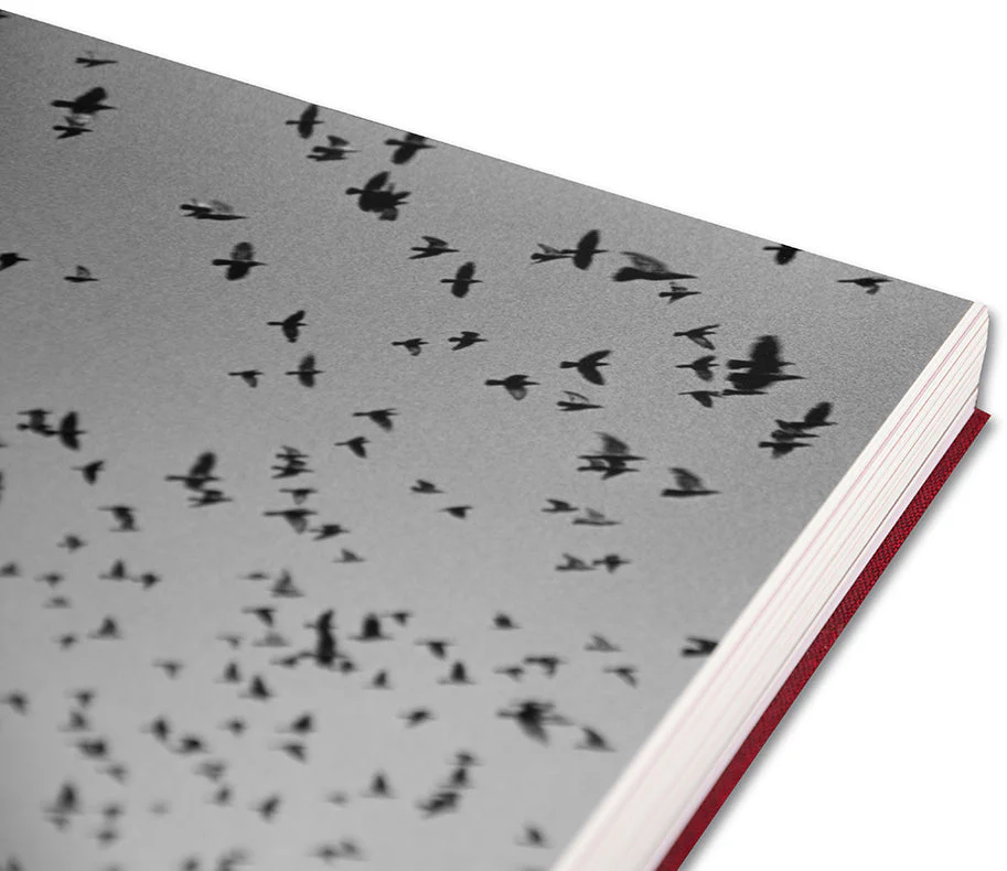Eikoh Hosoe (Japanese edition) - Image 48