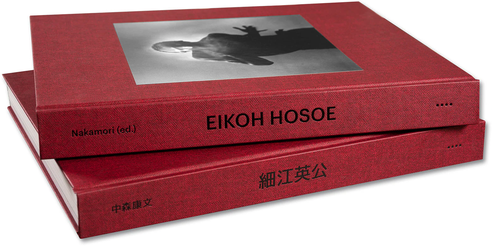 Eikoh Hosoe (Japanese edition) - Image 55