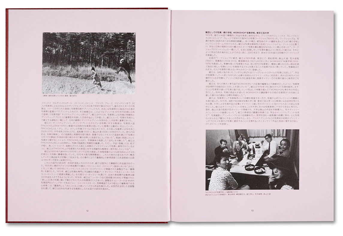 Eikoh Hosoe (Japanese edition) - Image 7