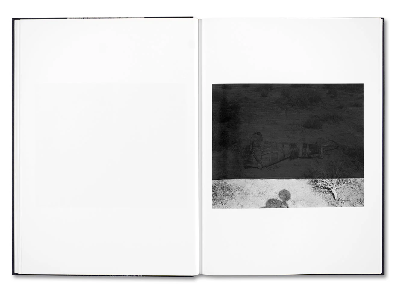 Evidence - Image 12