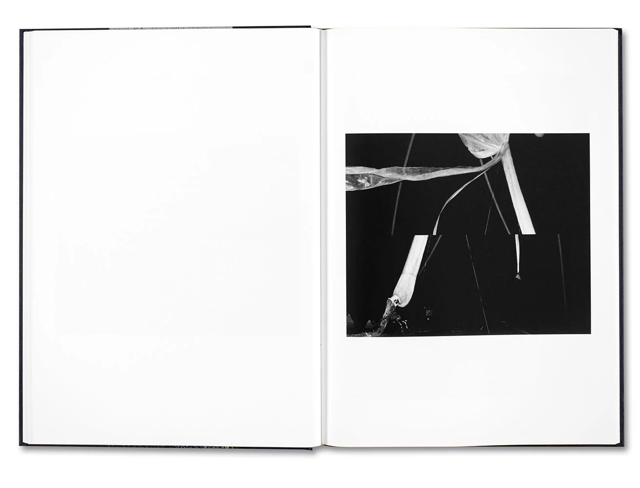 Evidence - Image 14