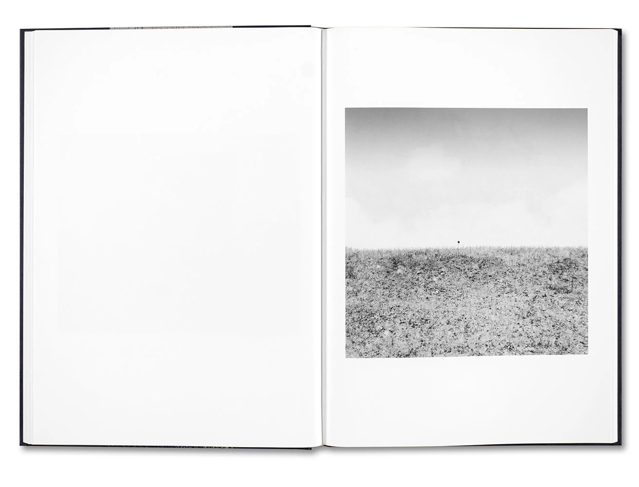 Evidence - Image 17