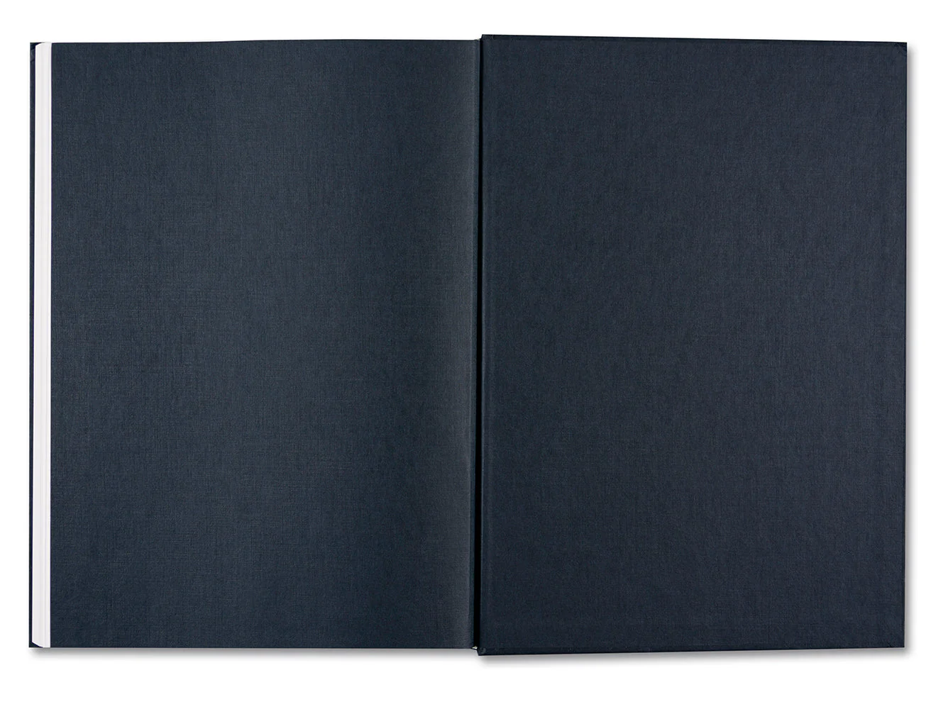 Evidence - Image 31