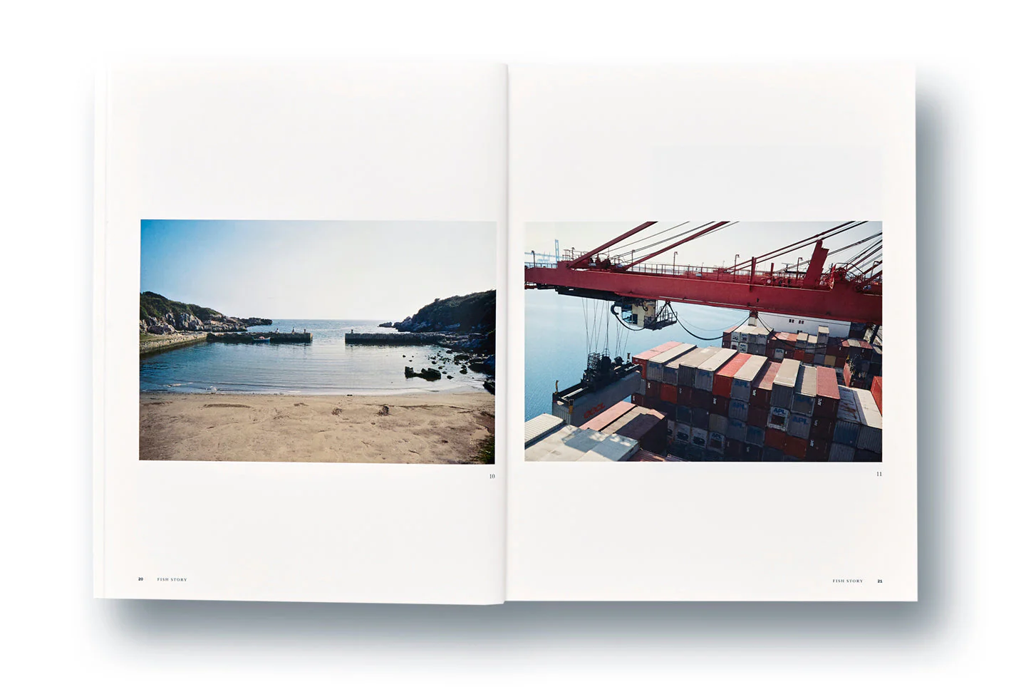 Fish Story - Image 9