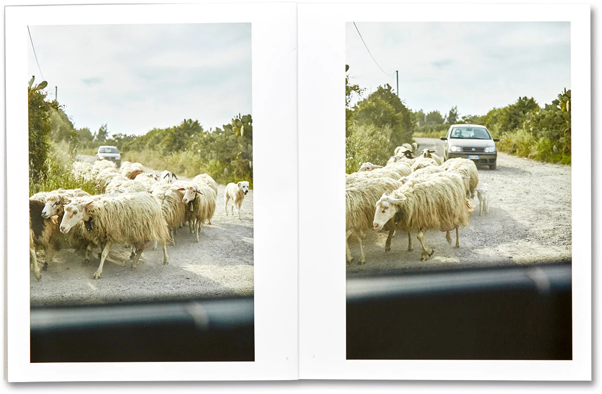 In Sardegna, 1974, 2011 - Image 25