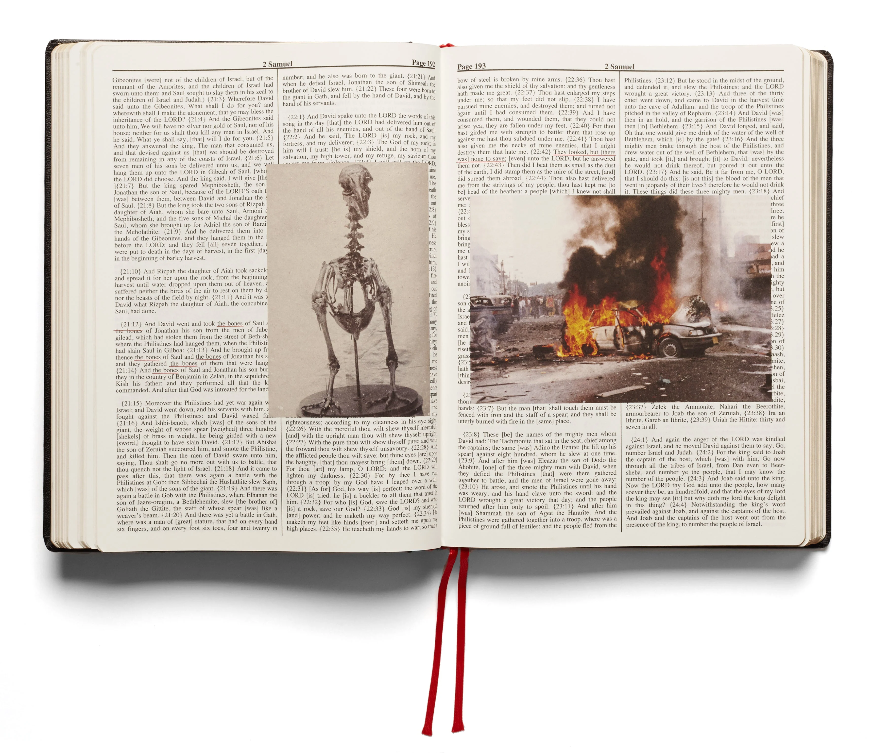 Holy Bible (First printing) - Image 16
