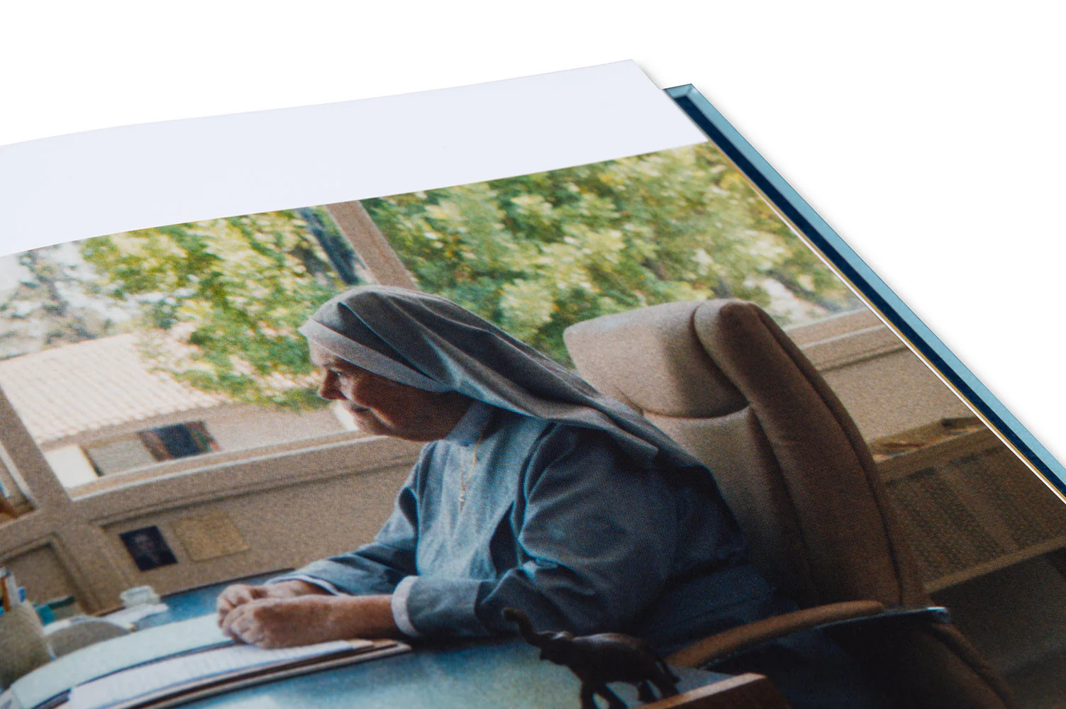 Lady Bird Screenplay Book - Image 14