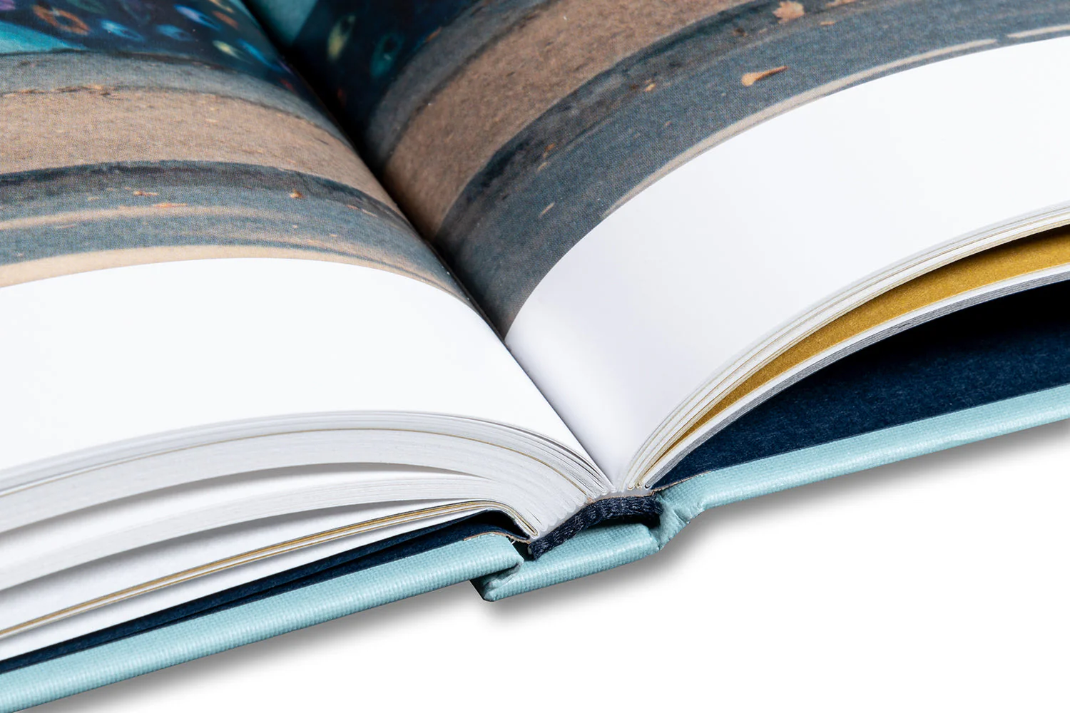Lady Bird Screenplay Book - Image 15