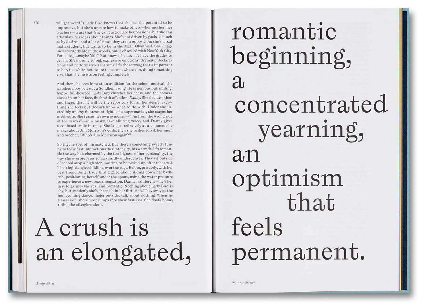 Lady Bird Screenplay Book - Image 9