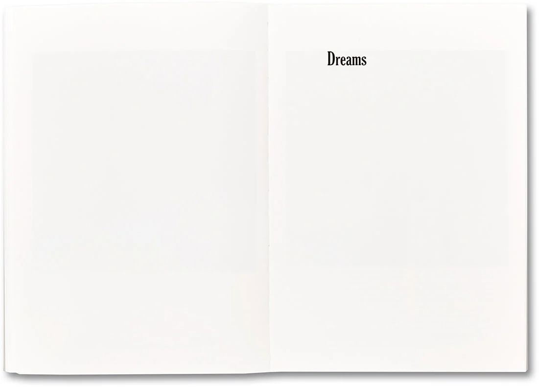 Portraits and Dreams - Image 16