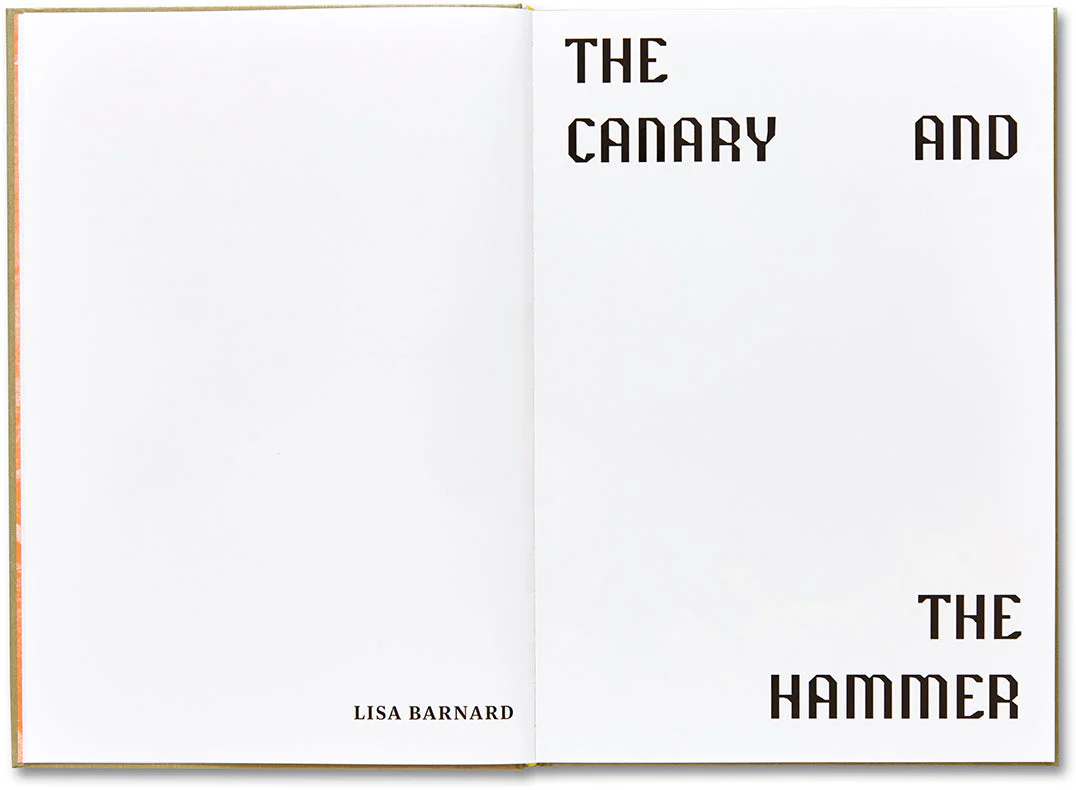 The Canary and The Hammer - Image 4