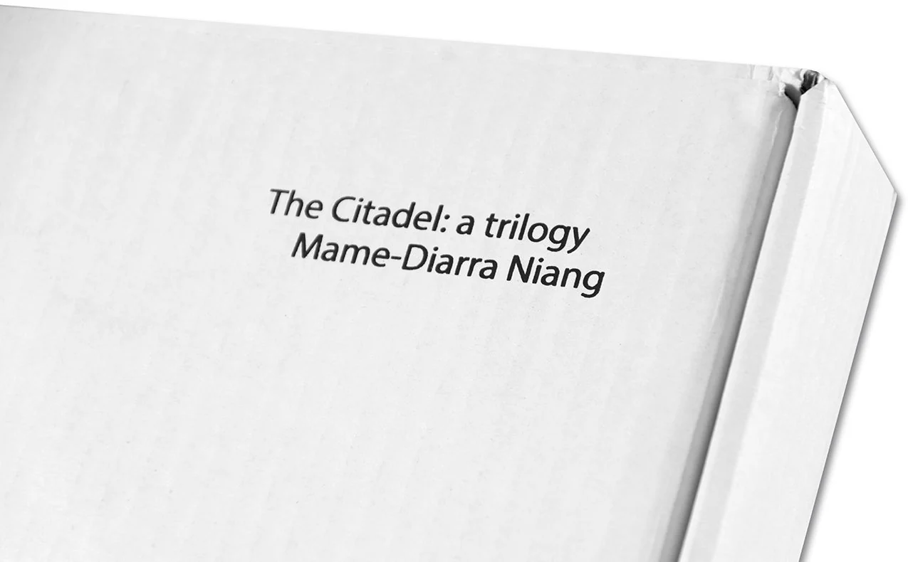 The Citadel: a trilogy - Image 60
