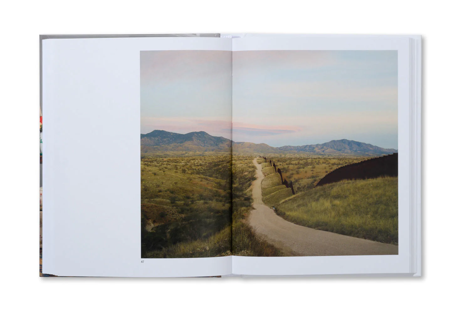 The Image of Whiteness: Contemporary Photography and Racialization - Image 12