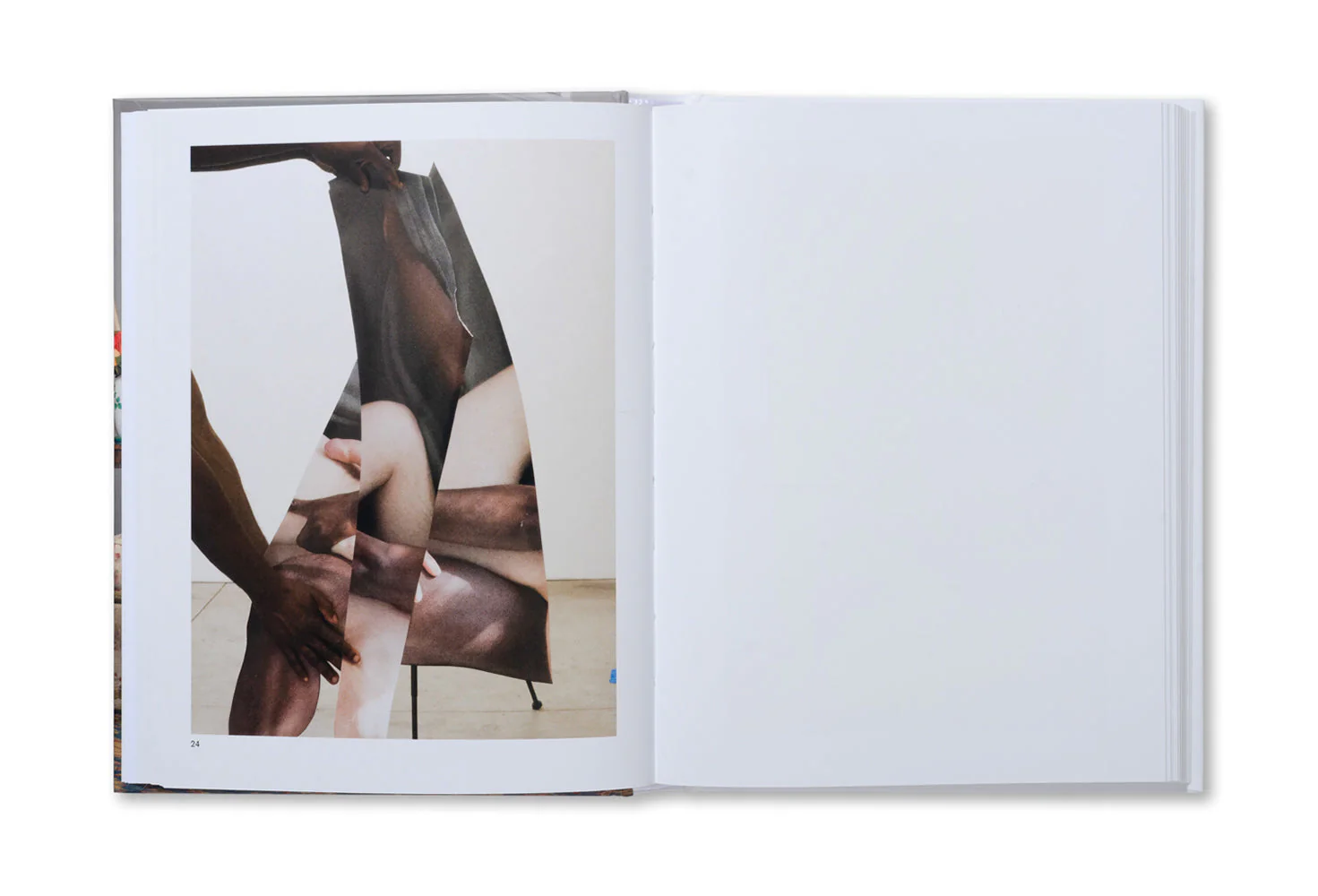 The Image of Whiteness: Contemporary Photography and Racialization - Image 8