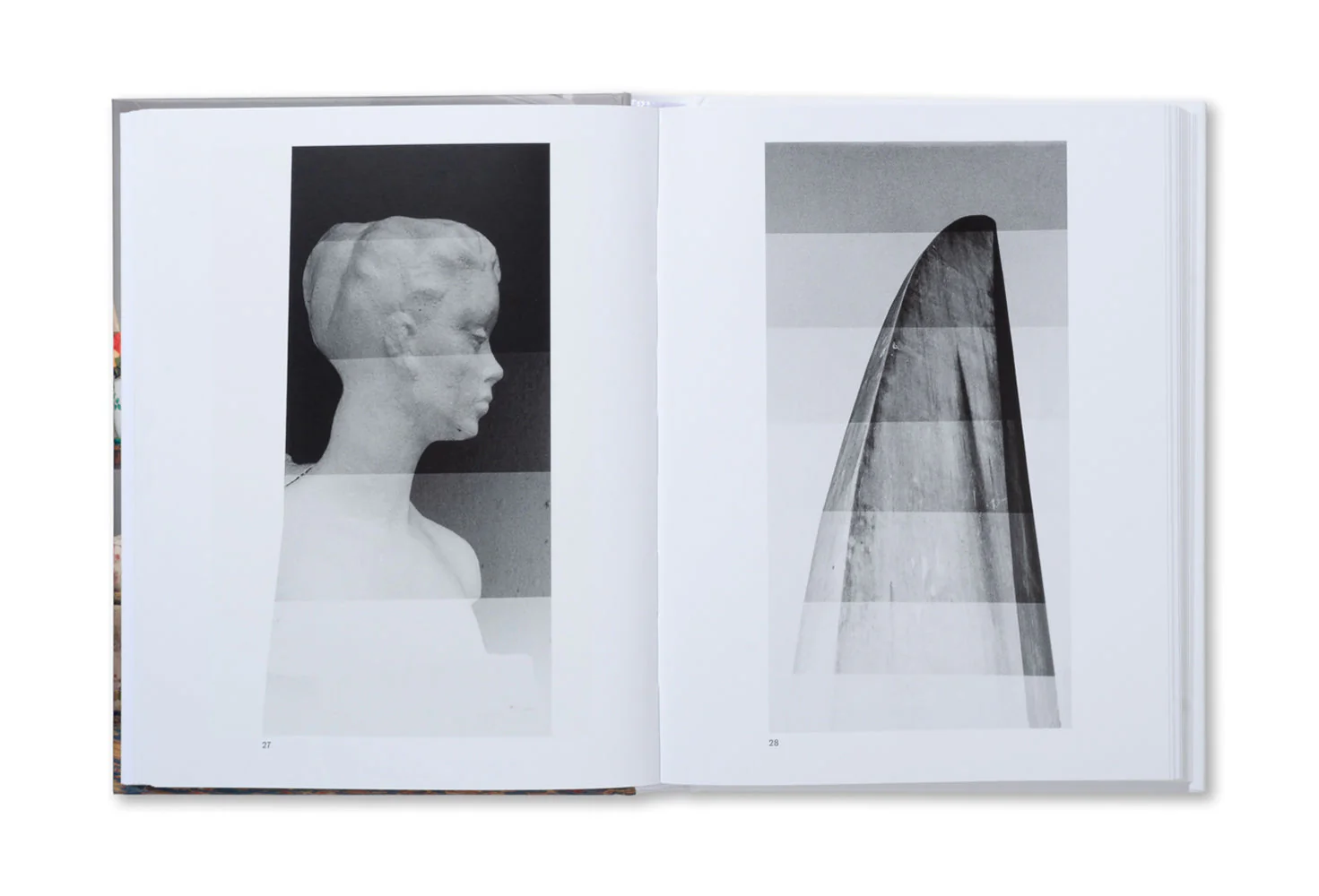 The Image of Whiteness: Contemporary Photography and Racialization - Image 9