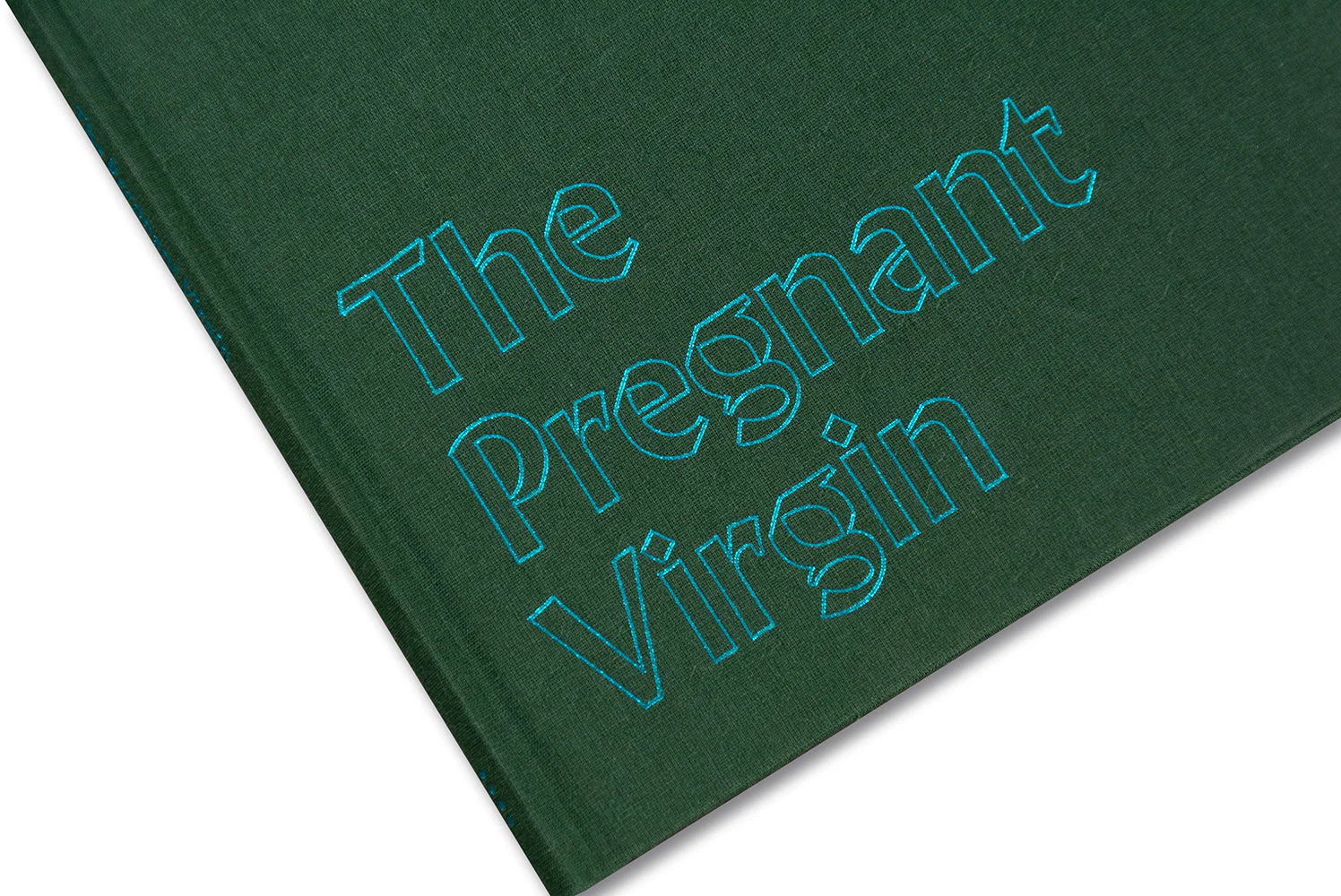The Pregnant Virgin - Image 44