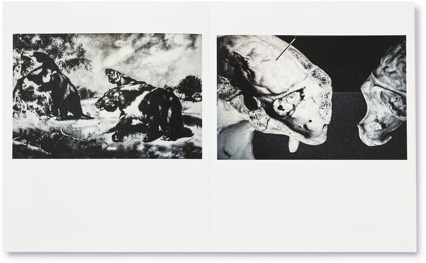 The Swamp - Image 12