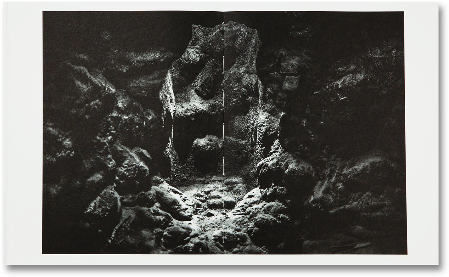 The Swamp - Image 13