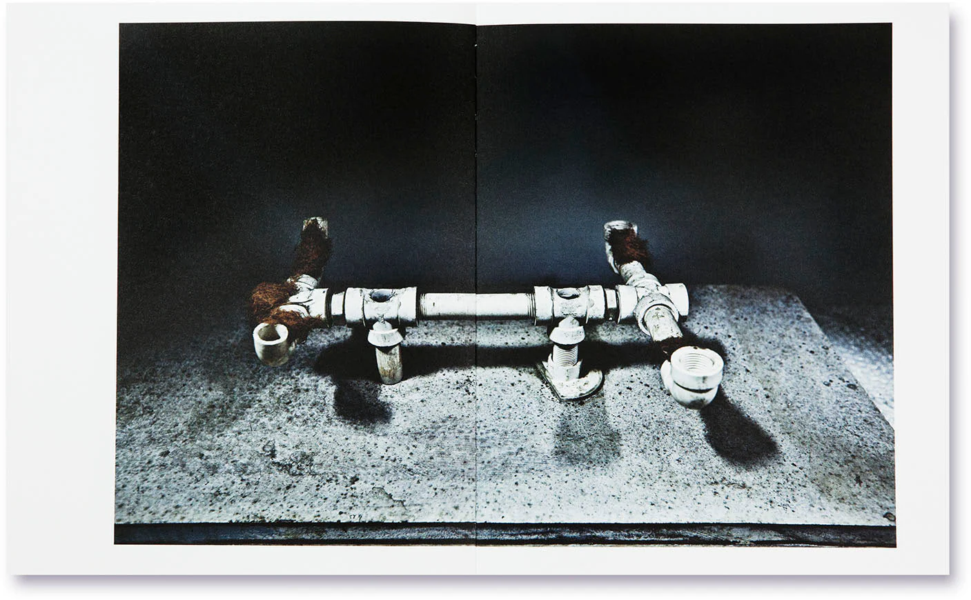 The Swamp - Image 17