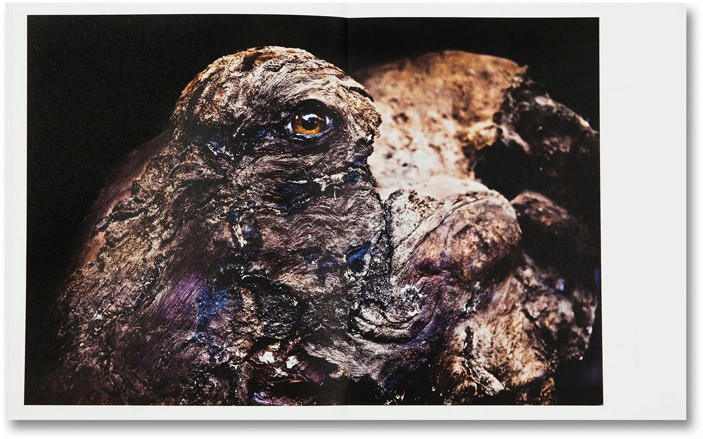 The Swamp - Image 18