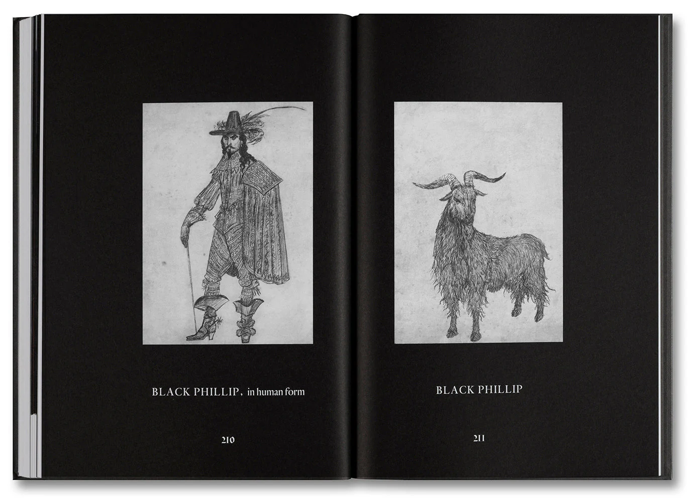 The Witch Screenplay Book - Image 10