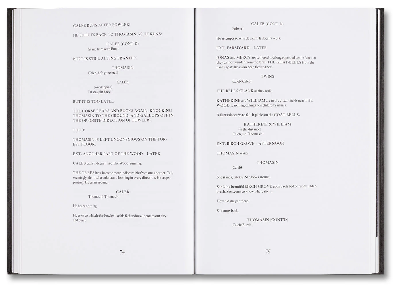 The Witch Screenplay Book - Image 3