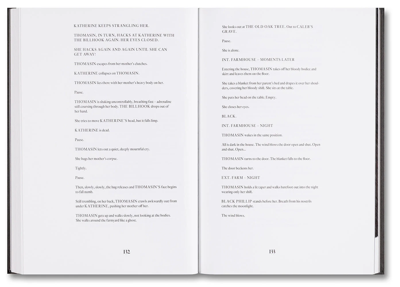The Witch Screenplay Book - Image 4