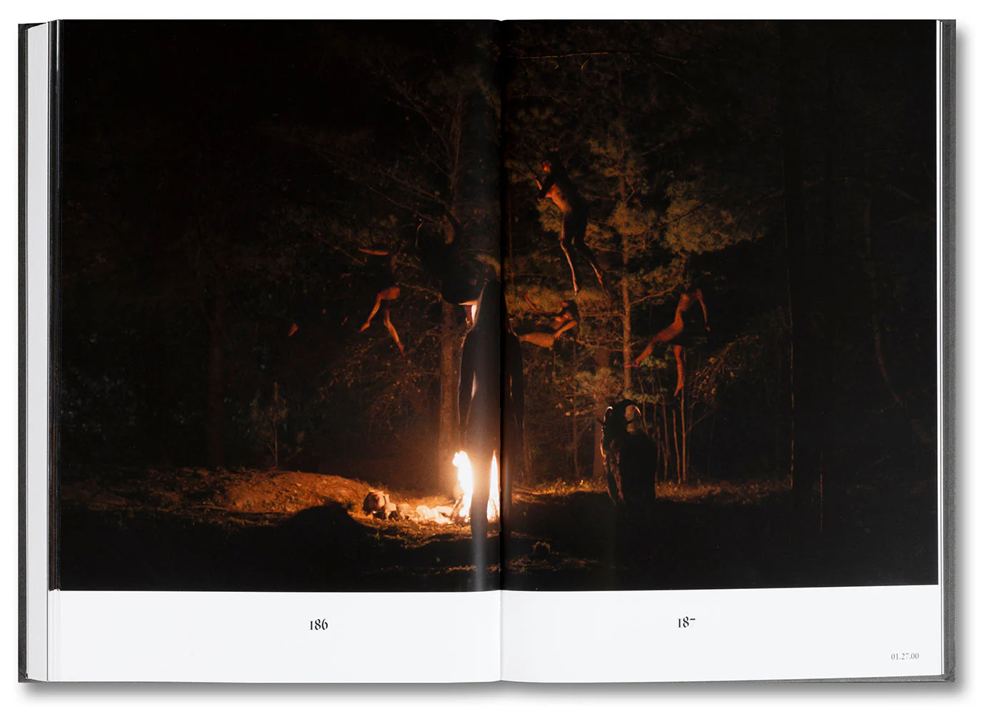 The Witch Screenplay Book - Image 7
