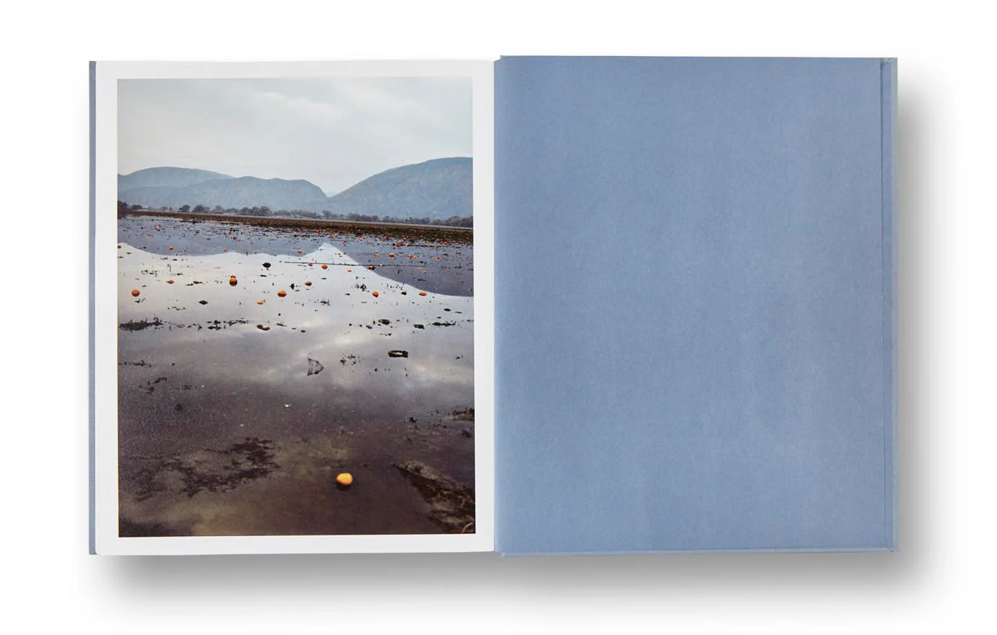 ZZYZX - Image 18